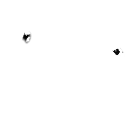More Majorum