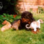 Diamond Hunter with puppys